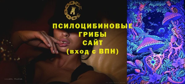 бошки Белокуриха