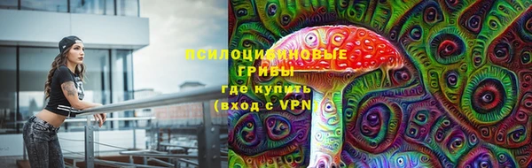 Альфа ПВП Беломорск