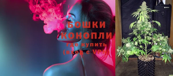 бошки Белокуриха