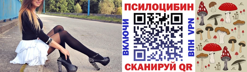 Галлюциногенные грибы Psilocybine cubensis  где можно купить наркотик  Нефтегорск 